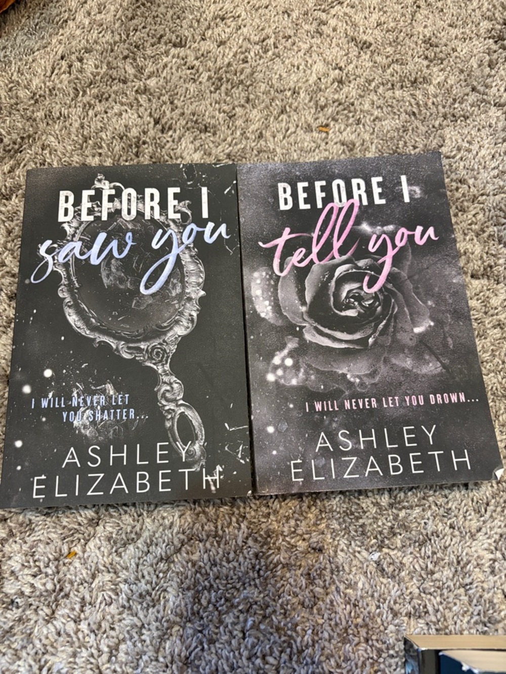 Ashley Elizabeth Before I Series Book Bundle Before I Fall + Before I Tell You